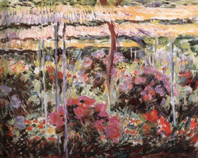 Claude Monet Peonies oil painting image